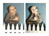 Am Zaun 1993